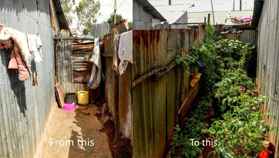 before_after.jpg
