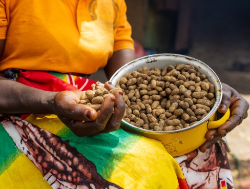 Close up shot of a woman holding a bowl of ground nuts, she holds a handful in her other hand. 